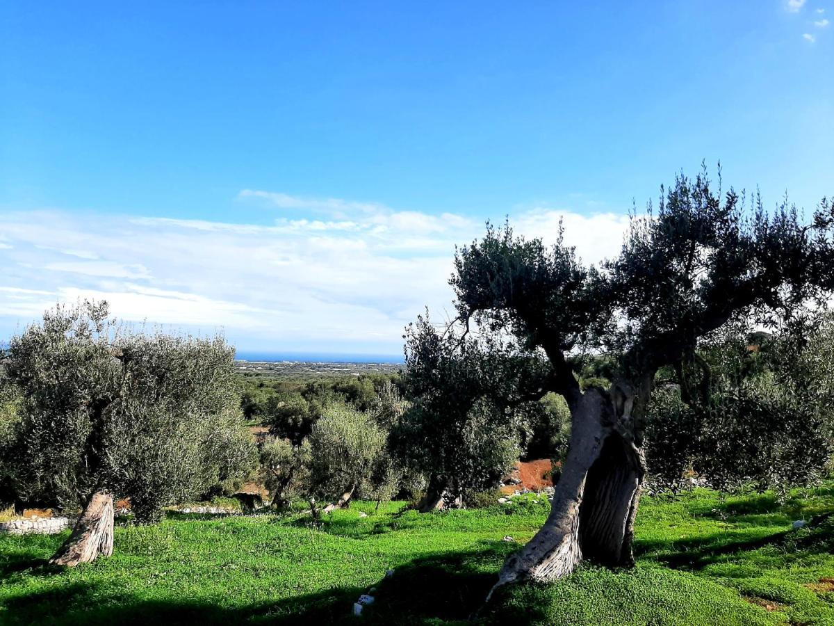 Alla Panoramica Monopoli Esterno foto