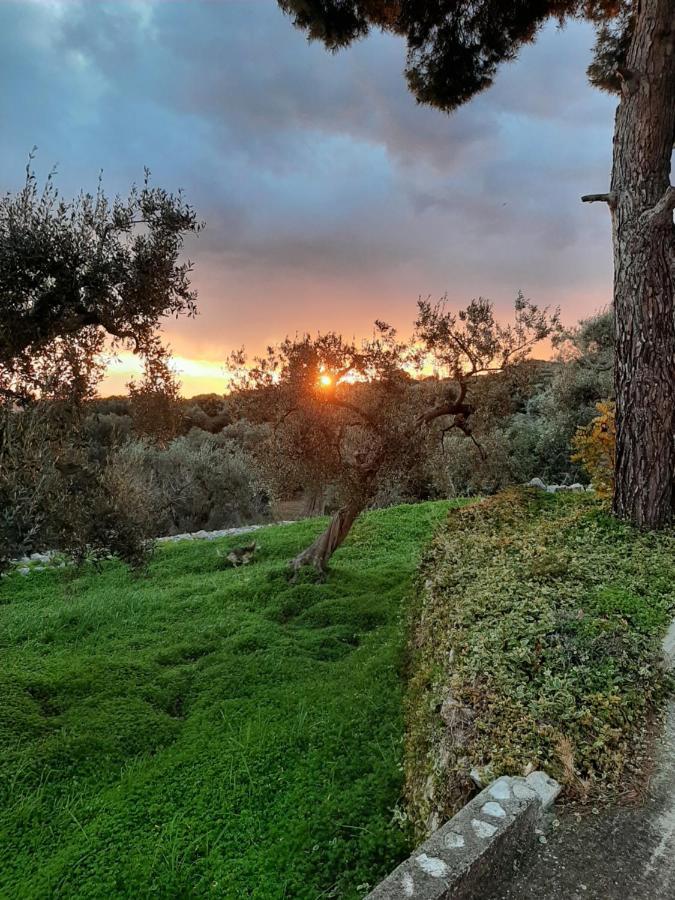 Alla Panoramica Monopoli Esterno foto
