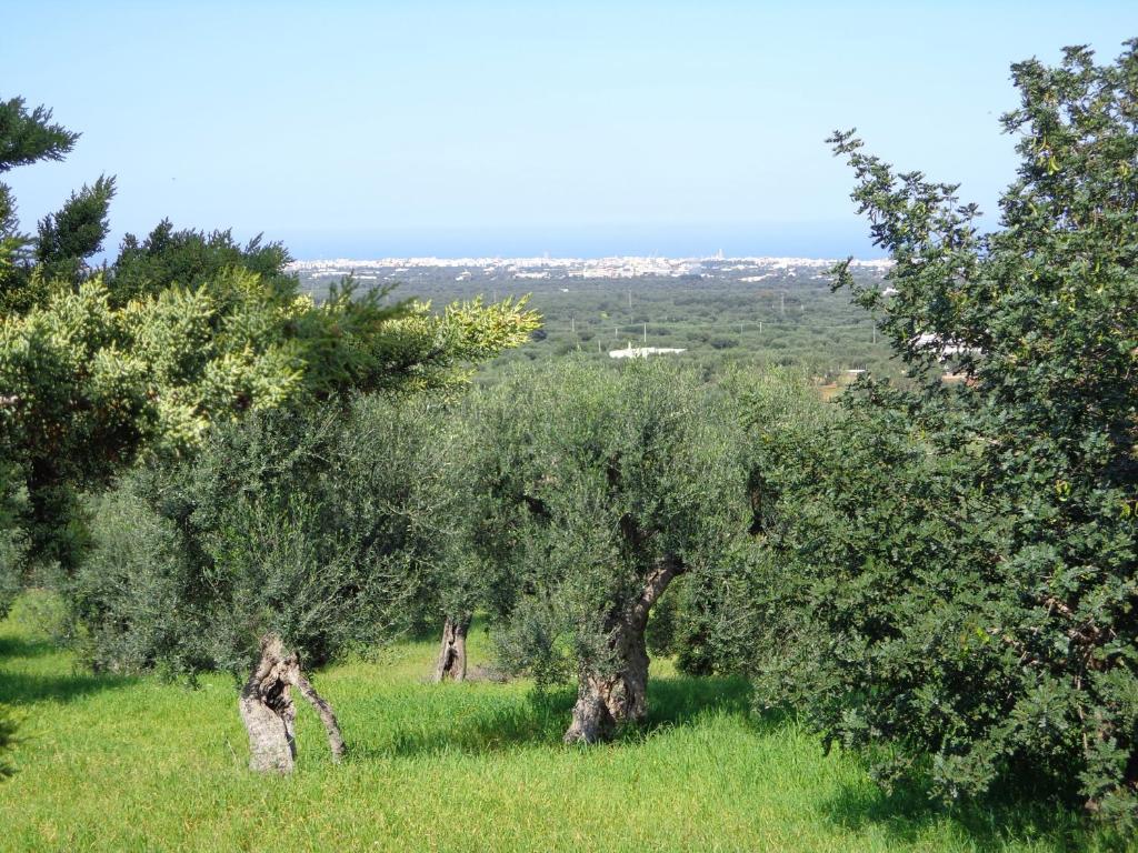Alla Panoramica Monopoli Esterno foto