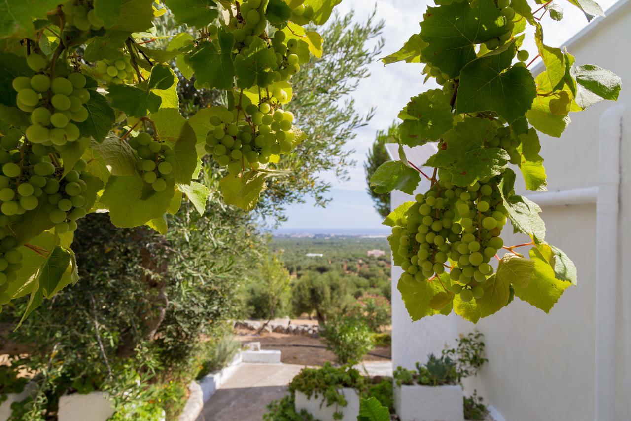 Alla Panoramica Monopoli Esterno foto